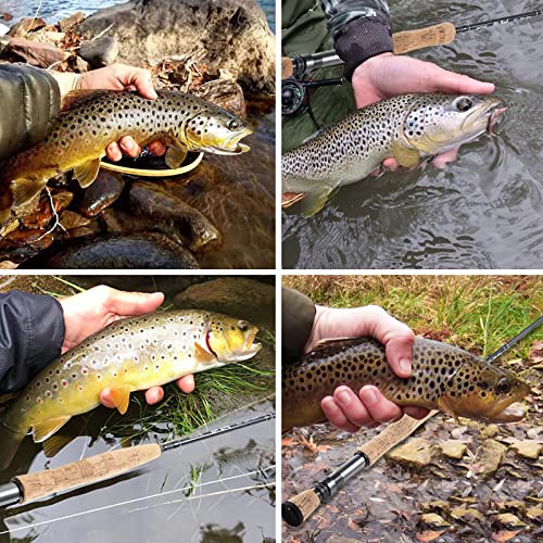 Goture Fly Fishing Rod 9FT Lightweight Travel Pole