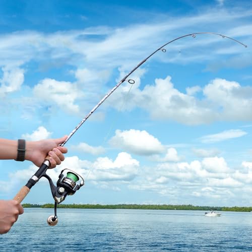 Sougayilang Spinning & Casting Rods - Strong Composite