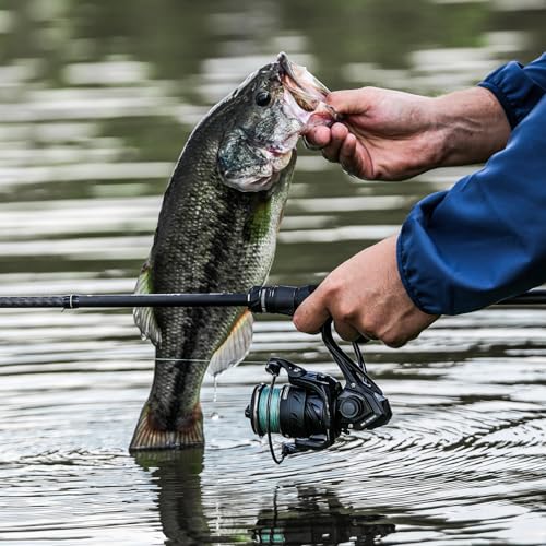 Ultralight Fishing Rods with Fuji O+A-Ring Guides