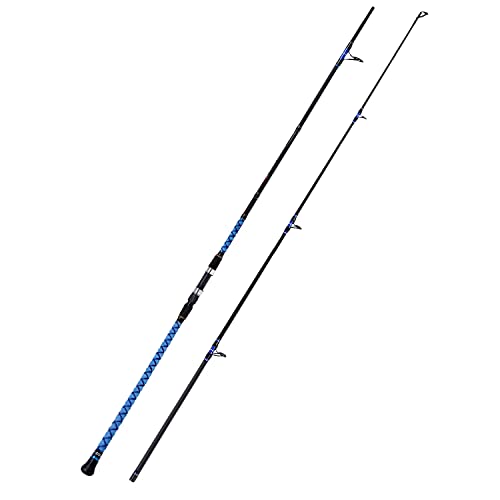 Fiblink Carbon Travel Surf Rod 10' - Saltwater