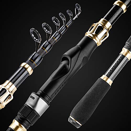 PLUSINNO Fishing Rod and Reel Combo with Carrier Bag