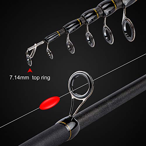 PLUSINNO Fishing Rod and Reel Combo with Carrier Bag