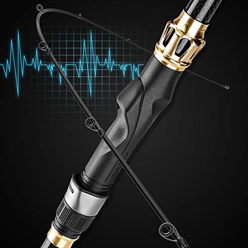 PLUSINNO Fishing Rod and Reel Combo with Carrier Bag