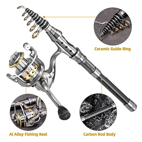 Lixada 2PCS Telescopic Fishing Pole Combo Set