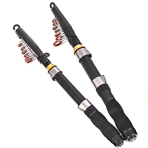 Compact Fishing Pole Combo Set: 2 Rods, 2 Reels