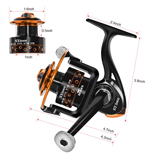 QINGLER Summer/Centron Spinning Reel, 12+1 BB, Size 3000