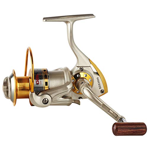Diwa Spinning Reel for Saltwater/Freshwater 1000 Series, Left/Right