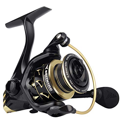 KastKing Valiant Eagle Size 3000 Spinning Fishing Reel