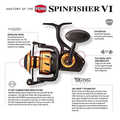 PENN Spinfisher VI Inshore Fishing Reel, 2500 Black Gold