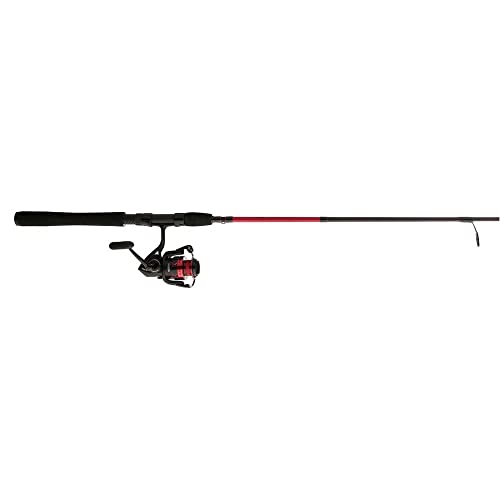 PENN Fierce IV Spinning Reel and Rod Combo
