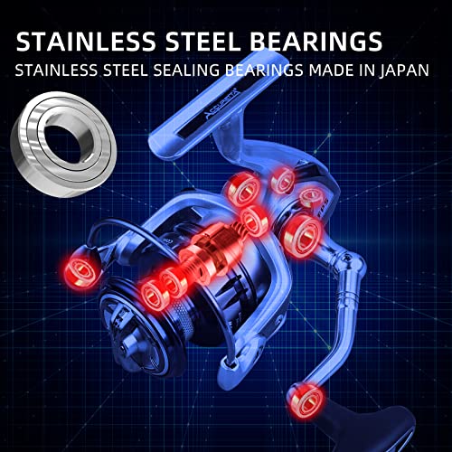 Accuretta 13+1BB Spinning Saltwater Fishing Reel, Lightweight and Durable