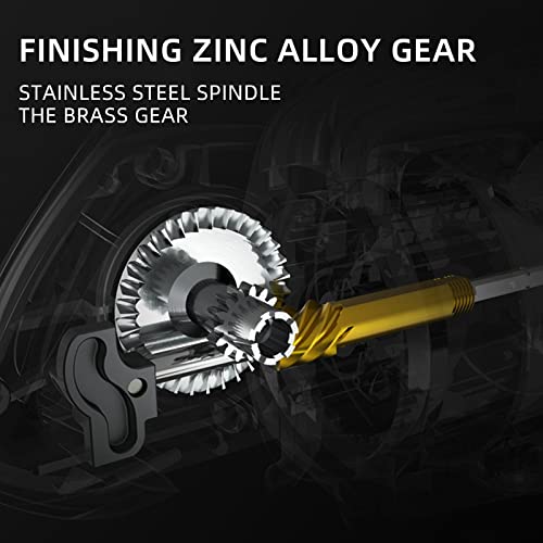 Accuretta 13+1BB Spinning Saltwater Fishing Reel, Lightweight and Durable