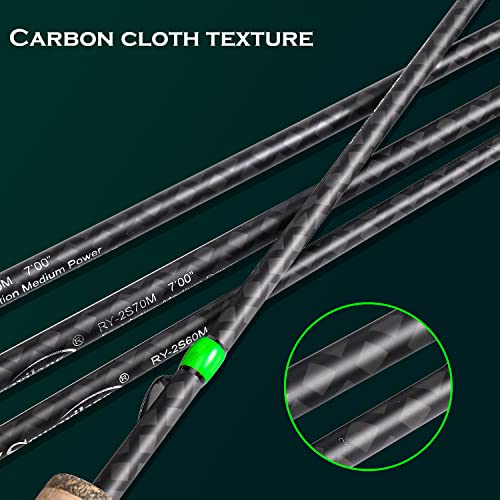 Sougayilang Graphite Spinning Fishing Rod- Lightweight Cork Handle