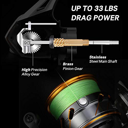 SeaKnight Rapid II Saltwater Spinning Reel, 4.7:1,6.2:1 High Speed
