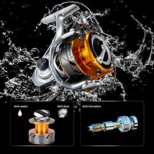 SeaKnight Rapid II Saltwater Spinning Reel, 4.7:1,6.2:1 High Speed