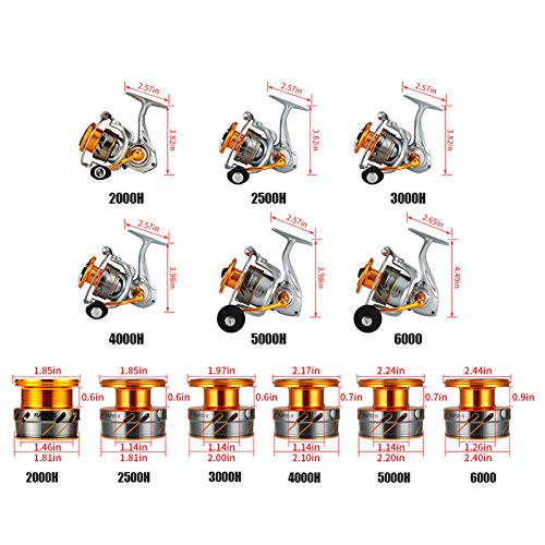 SeaKnight Rapid II Saltwater Spinning Reel, 4.7:1,6.2:1 High Speed