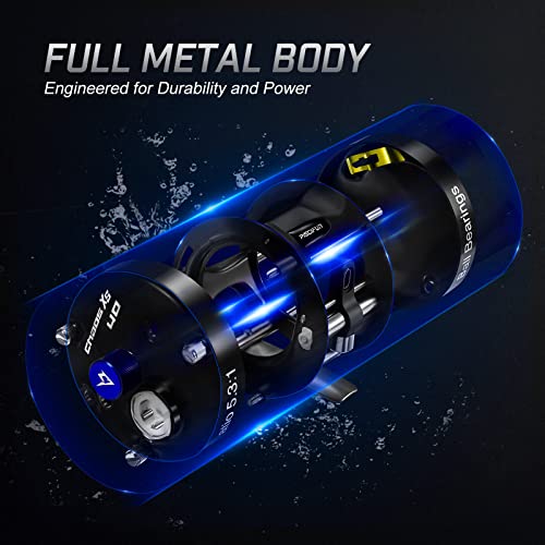 Piscifun Chaos XS Baitcasting Fishing Reel for Catfish