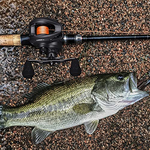 Piscifun Torrent II Baitcasting Reel, 20LB Drag, 8.1:1 Gear