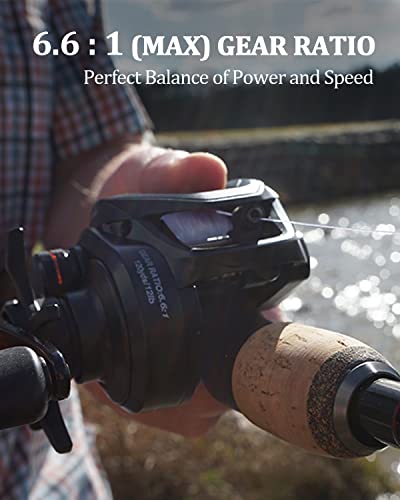 Tempo VertixLP Ultralight Baitcasting Reel for Catfish Bass