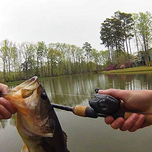 Tempo VertixLP Ultralight Baitcasting Reel for Catfish Bass