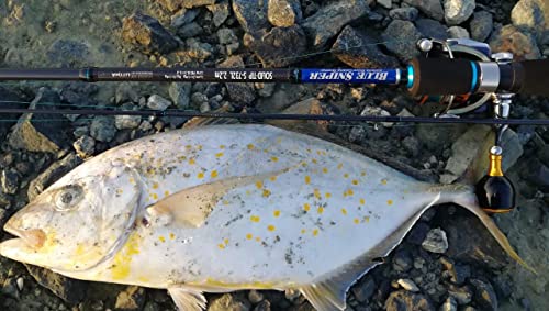 LITTMA Ultralight Trout Rod for Panfish Fishing