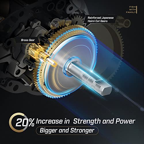 Piscifun Alijoz Baitcaster Fishing Reel, 300 Size Aluminum