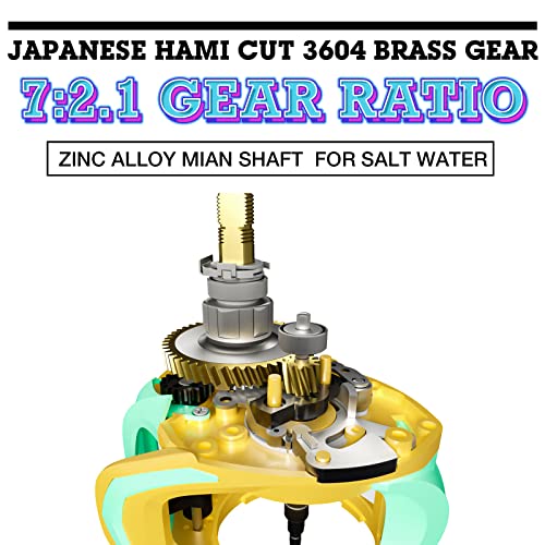 Hautton Baitcasting Reel - Macaroon Beginner's Edition