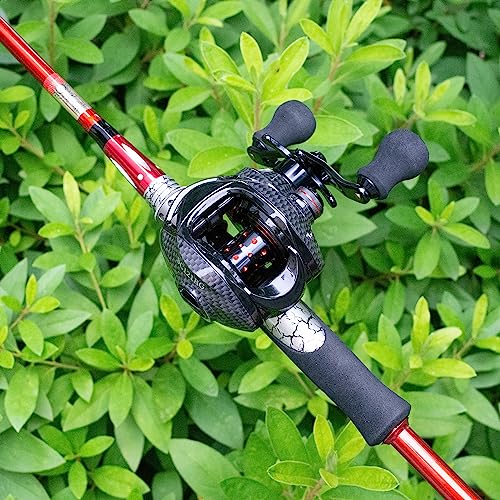 FISHDROPS Baitcaster Reel - 9+1BB, High Speed Gear