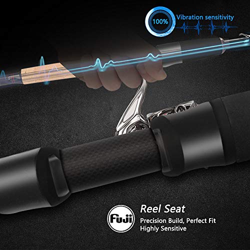 Cadence CR5 Spinning Rod | 30 Ton Carbon