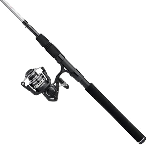 PENN Pursuit IV Fishing Combo 10’ Graphite Composite