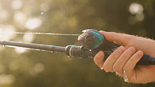Cadence Vigor Baitcasting Reels - Carbon Fiber Drag