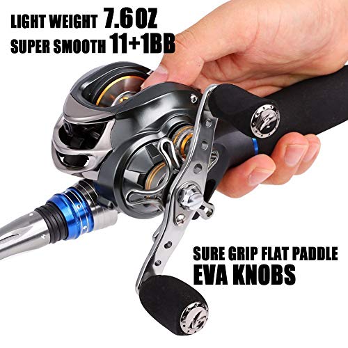 Sougayilang Baitcasting Reel: 11+1 Bearings, 18LB Drag