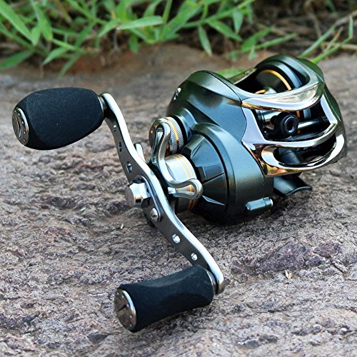 Sougayilang Baitcasting Reel: 11+1 Bearings, 18LB Drag