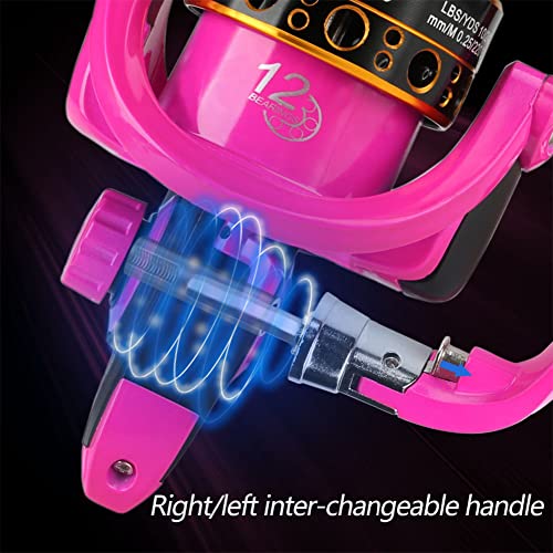 LIZHOUMIL Fishing Reel, 5.2:1 Gear Ratio, 14BB