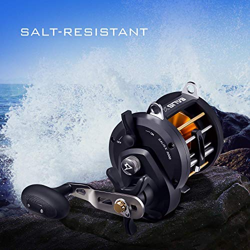 Piscifun Salis X 3000 Baitcasting Fishing Reel, Left Hand