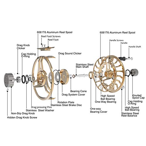 Maxcatch AVID PRO Fly Fishing Reel - Gold