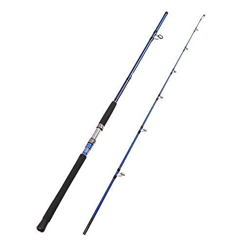 Fiblink Saltwater Spinning Fishing Rod