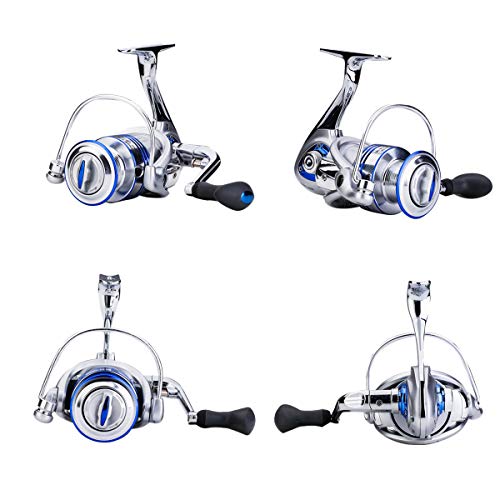 Diwa Spinning Fishing Reel for Saltwater Freshwater - 7000