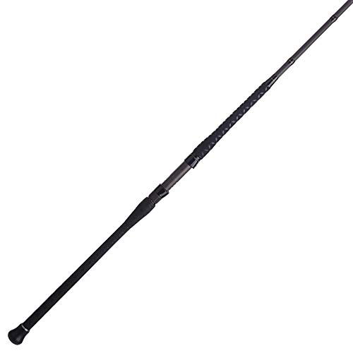 PENN Squadron III 9' Surf Spinning Fishing Rod