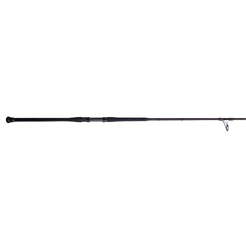 PENN Squadron III 9' Surf Spinning Fishing Rod