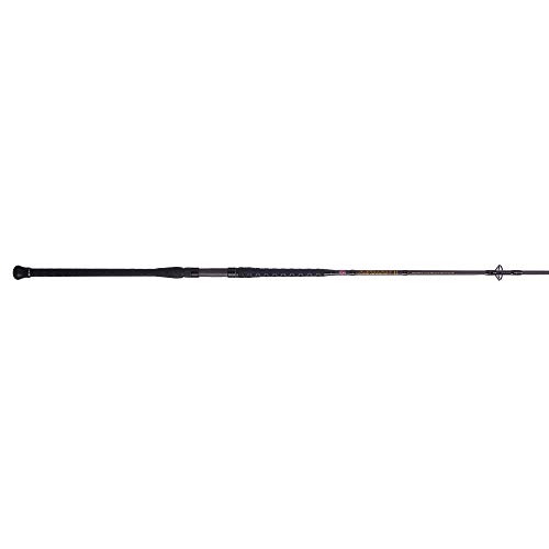 PENN Squadron III 9' Surf Spinning Fishing Rod
