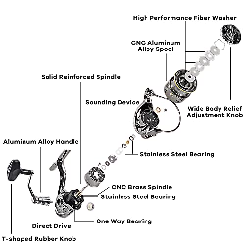 Fishdrops Saltwater Spinning Reel, 12+1BB, Lightweight, Powerful