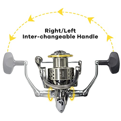 Fishdrops Saltwater Spinning Reel, 12+1BB, Lightweight, Powerful