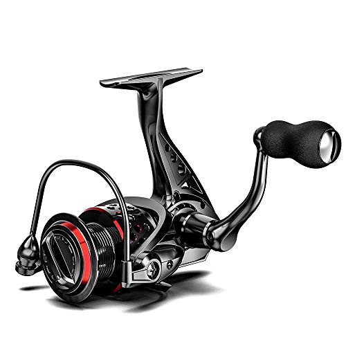 Ashconfish Spinning Reel with Lightweight Body and Braided Line