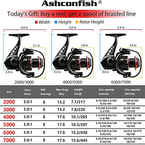 Ashconfish Spinning Reel with Lightweight Body and Braided Line