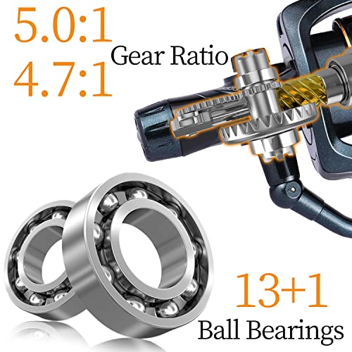 Sougayilang Carp Fishing Reel Stainless Steel BB Spinning