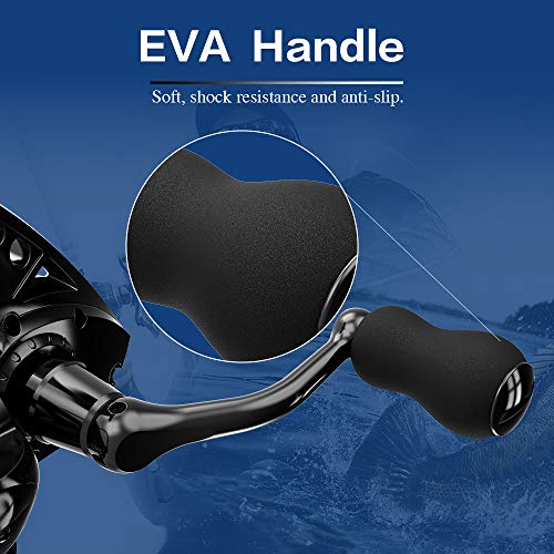 Ashconfish Spinning Reel with Lightweight Body and Braided Line