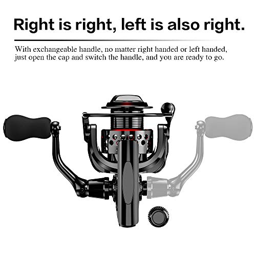 Ashconfish Spinning Reel with Lightweight Body and Braided Line