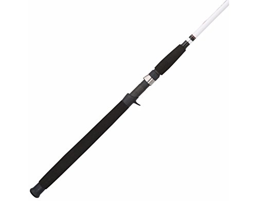 Berkley 7' Big Game Casting Rod, Medium Heavy