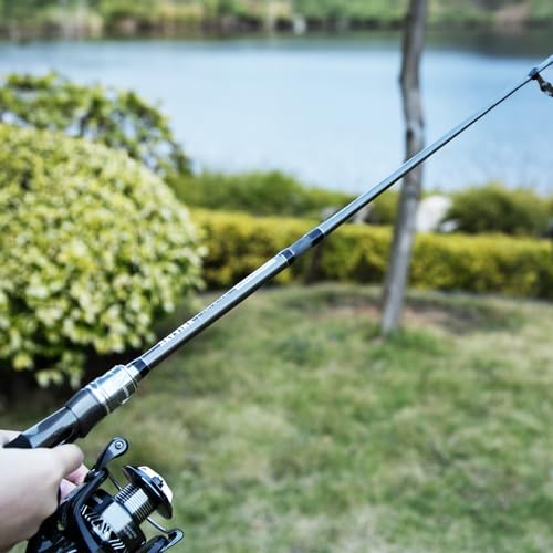 GOTURE 4-Piece Travel Fishing Rods for Saltwater